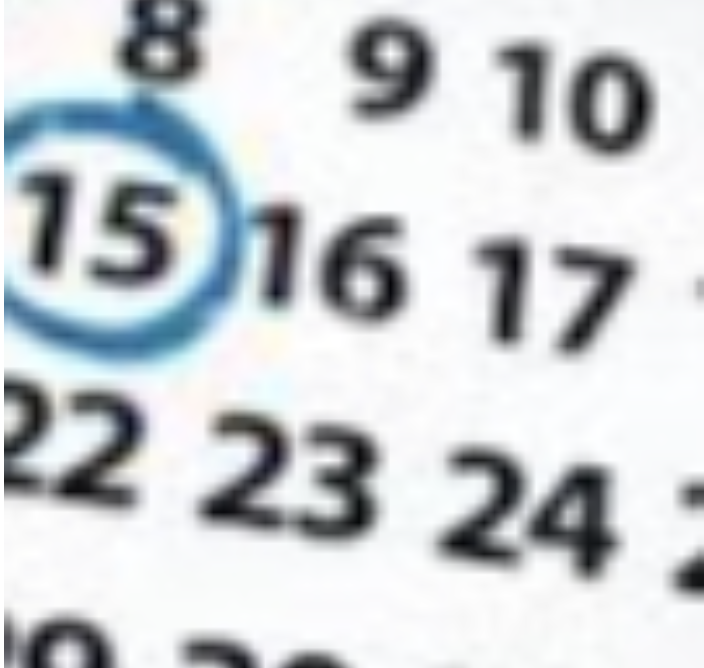 Calendar with 15 circled